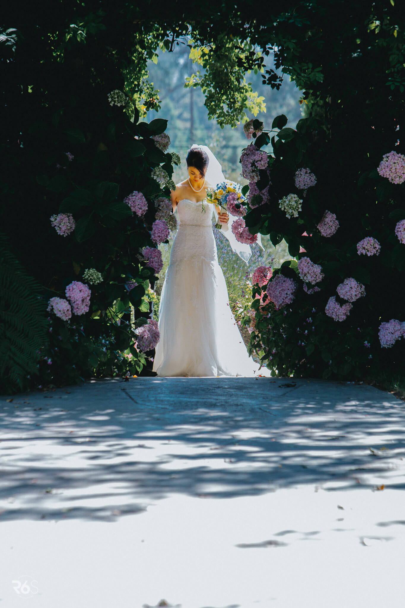 San Francisco Wedding Cinematic